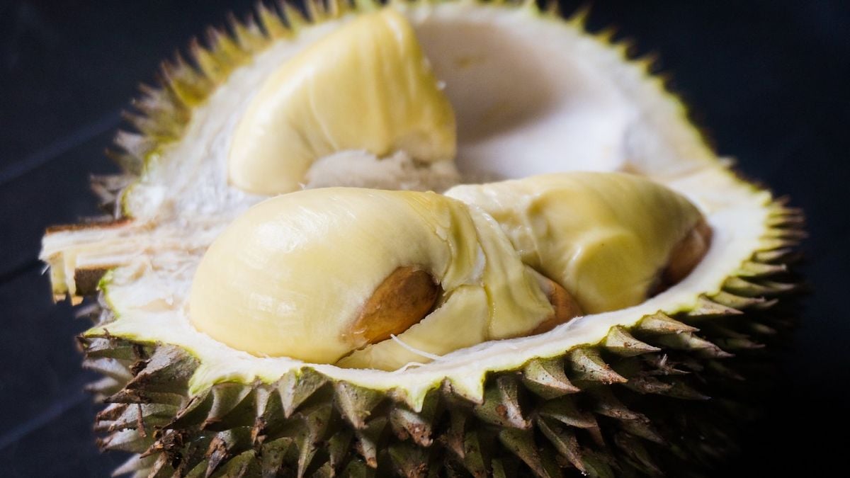 Durian Mas: Rasa Cilacap yang Menggoda di Setiap Gigitan