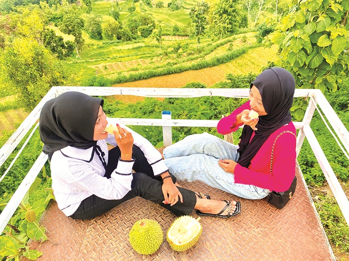 Durian Mas: Rasa Legenda yang Menggoda di Jantung Cilacap