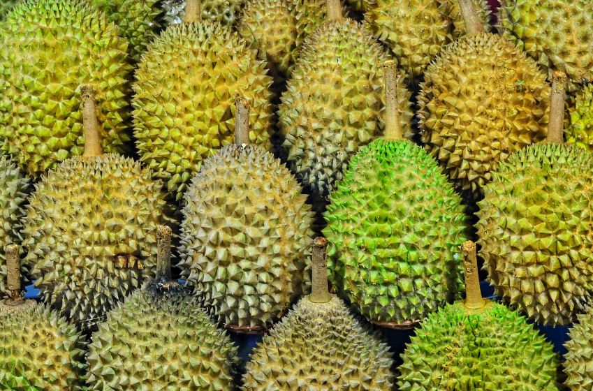 Durian Mas: Nikmati Malam di Jl. Kalimantan dengan Rasa yang Menggoda